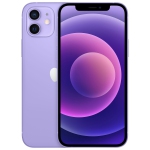 Couleur: Violet
